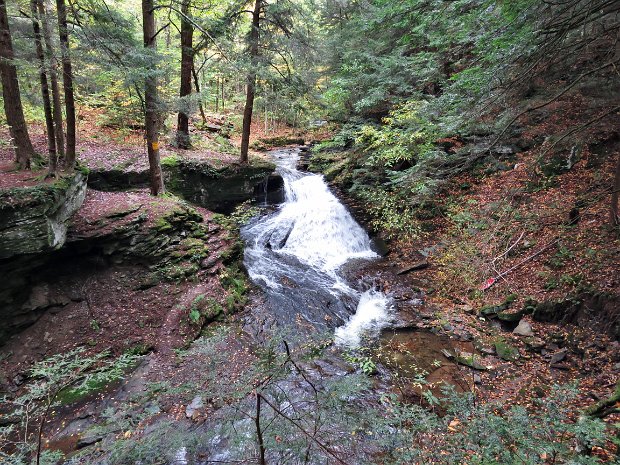 TroutCounterOct2018