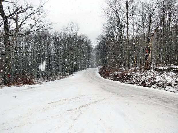 TroutDec2013