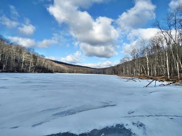 TroutDec2014