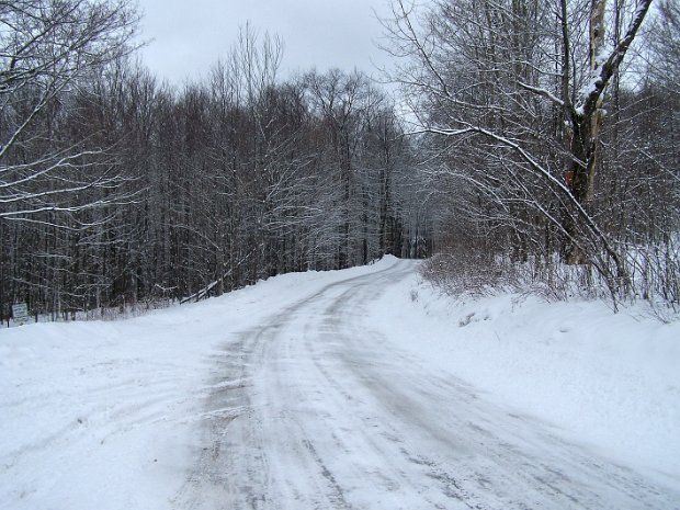 TroutFeb2007