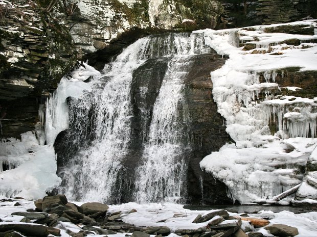 TroutFeb2008