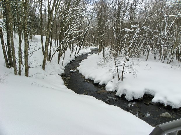 TroutFeb2010