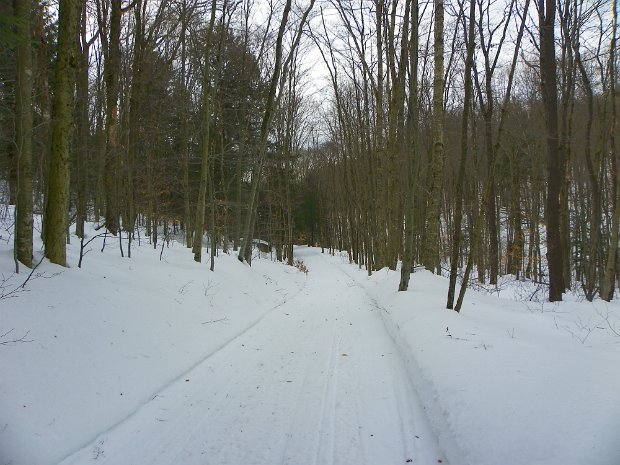 TroutFeb2011