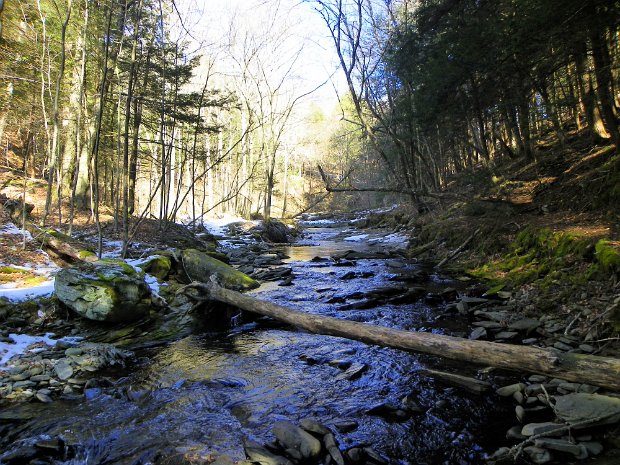TroutFeb2012