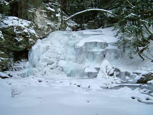 TroutJan2009