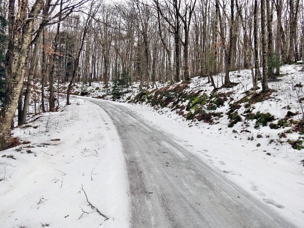 TroutJan2014