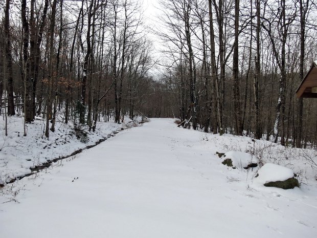TroutJan2016