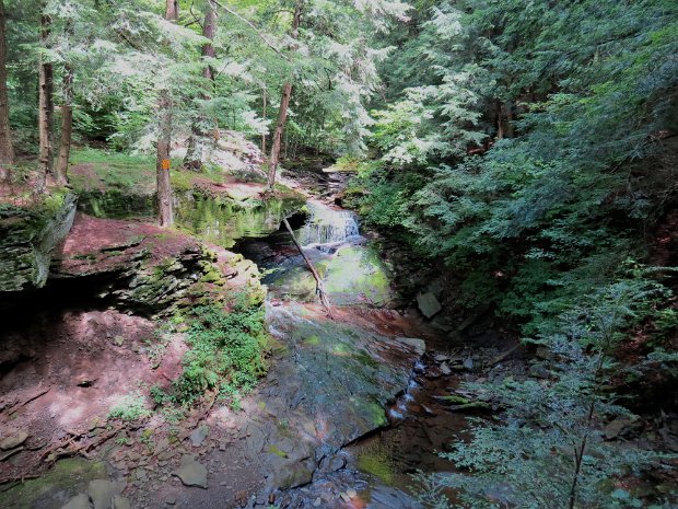 TroutJul2012