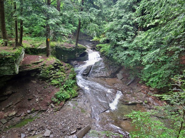 TroutJul2013