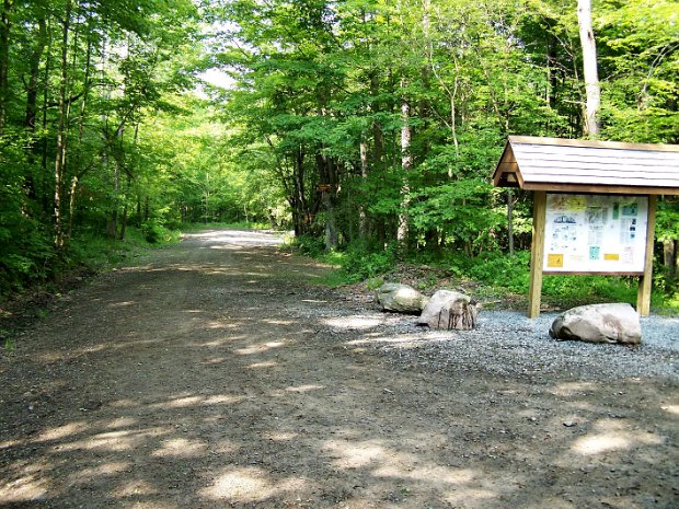 TroutJun2008