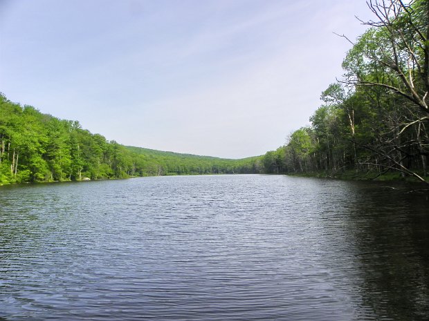 TroutJun2011