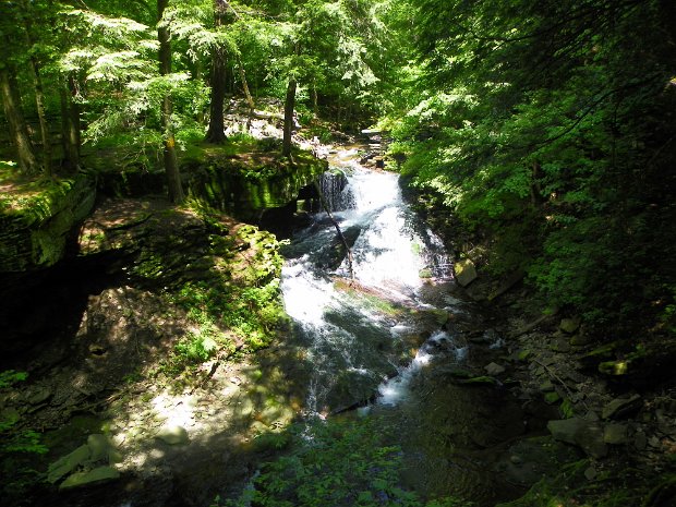 TroutJun2012