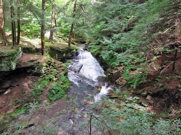 TroutLoopAug2016