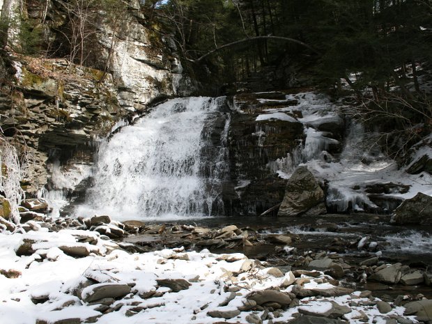 TroutMar2008