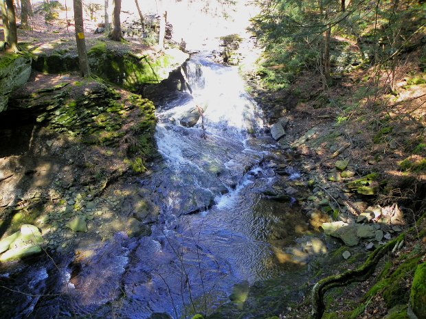 TroutMar2012