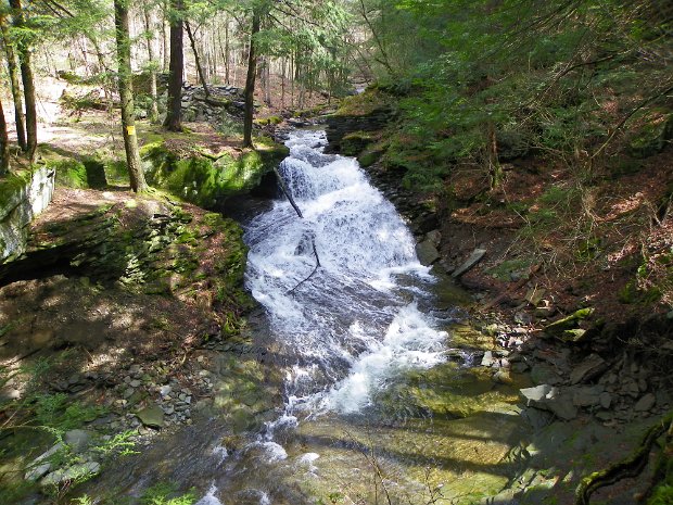 TroutMay2011