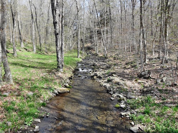 TroutMay2014