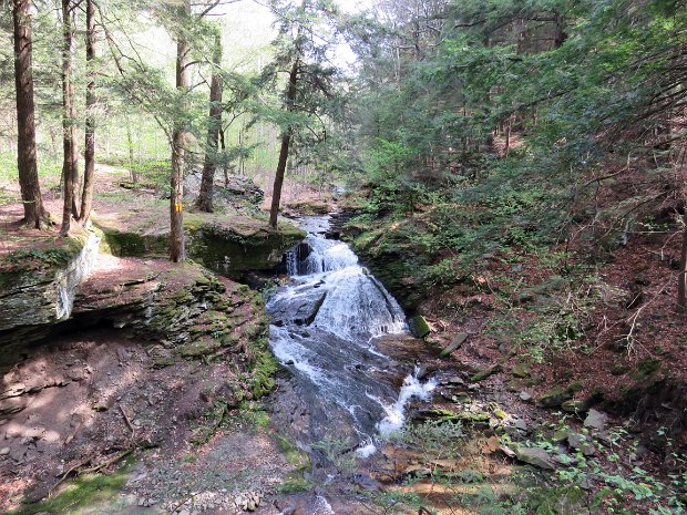 TroutMay2016