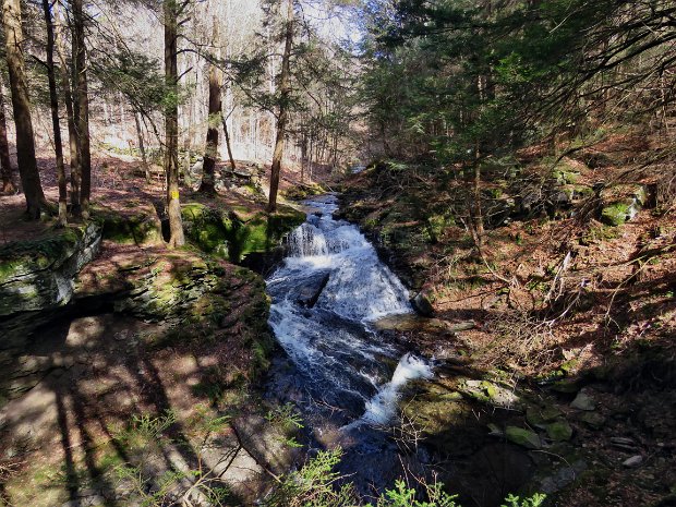 TroutMudLoopMar2020