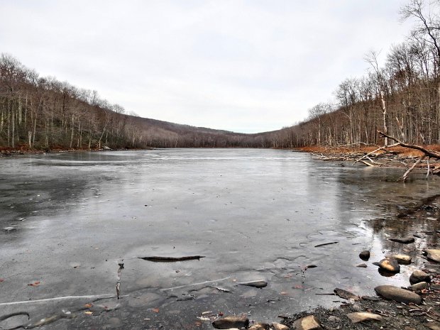TroutNov2014