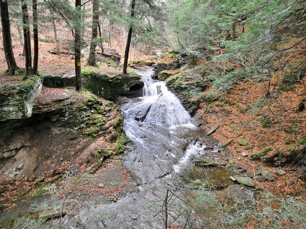 TroutNov2015