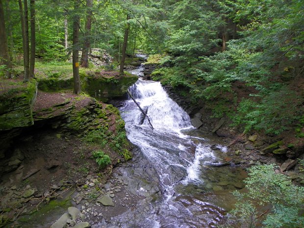 TroutSep2011
