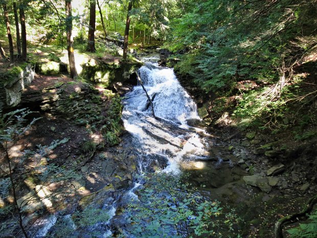 TroutSep2012
