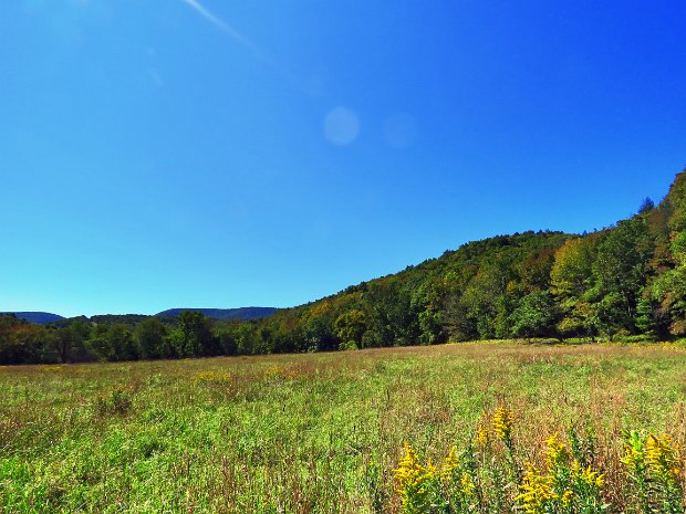 RoarbackBrookVinegarHillSep2020
