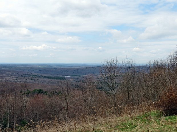 WalnutLoopsMay2014