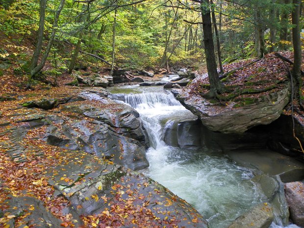 BearHoleOct2011