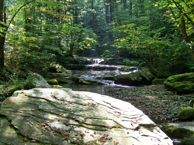 WestkillSep2008