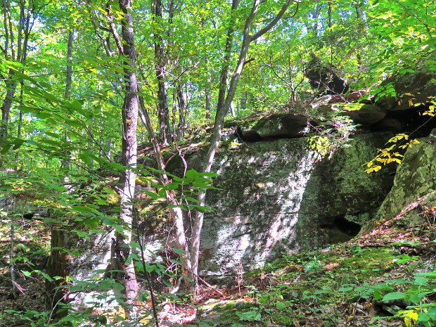 WindhamPeckSep2020