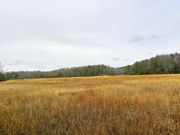 YorkSPMar2011A