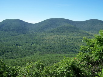 picture taken during a hike