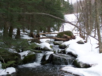 picture taken during a hike