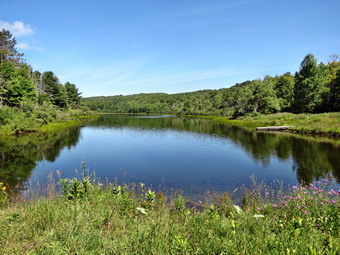 picture taken during a hike