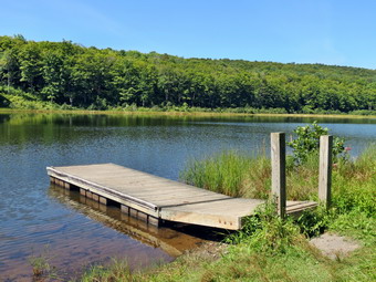 picture taken during a hike