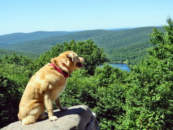 picture taken during a hike