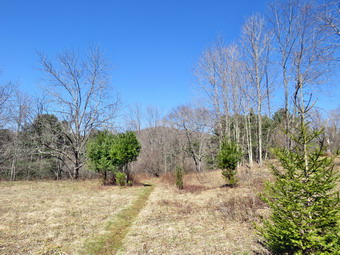 picture taken during a hike