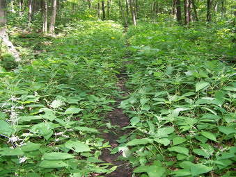 picture taken during a hike