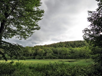 picture taken during a hike