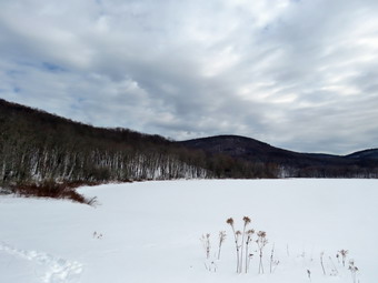 picture taken during a hike