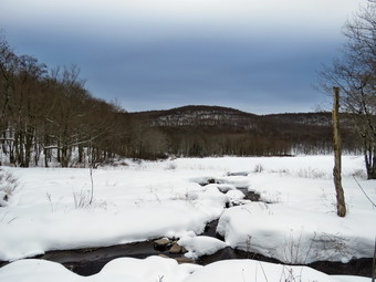 picture taken during a hike