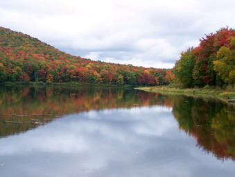 picture taken during a hike