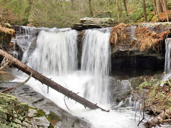 picture taken during a hike