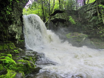 picture taken during a hike