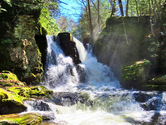 picture taken during a hike