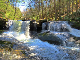 picture taken during a hike