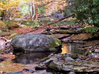 picture taken during a hike