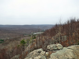 picture taken during a hike